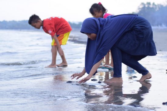 Pelepasan Tukik