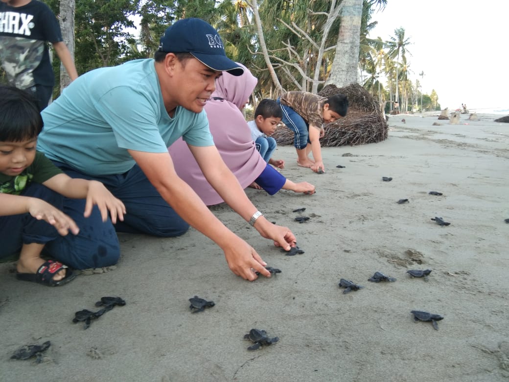 Ajbar: Kami Dukung Gerakan Wisata Penyu di Mampie